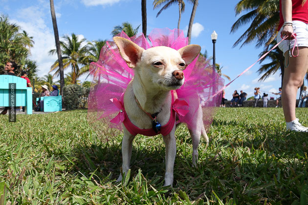 I am sexy and I know it!