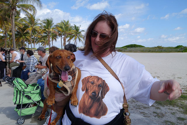 Dog Training in Miami (64)