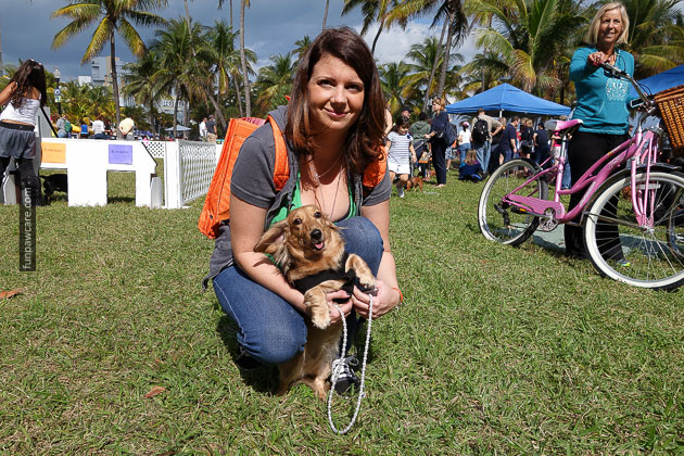 Dog Training in Miami (40)