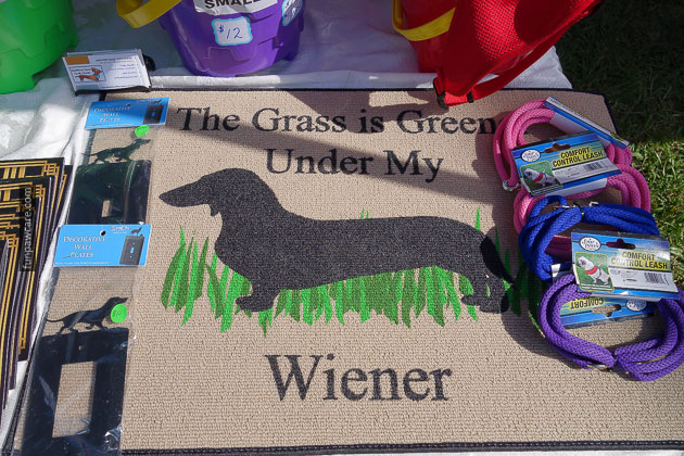 Dog Training in Miami (17)