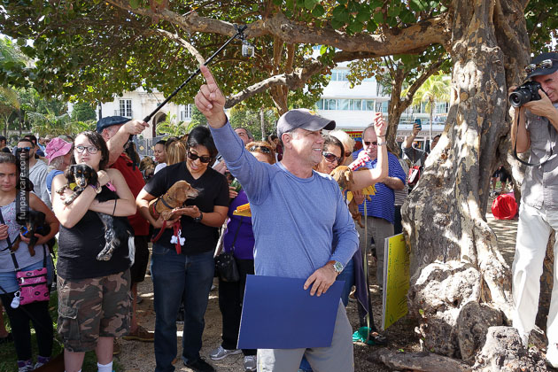 Dog Training in Miami (45)