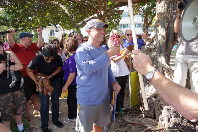 Dog Training in Miami (44)