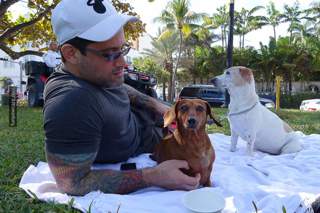 Dog Training in Miami (2)