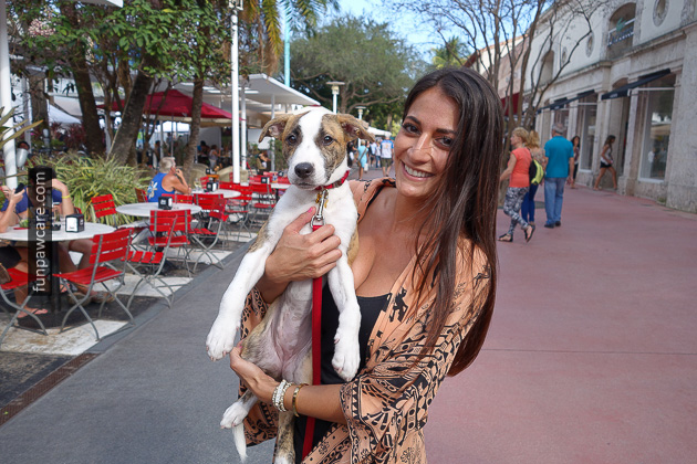 Dog Trainers in Miami (13)