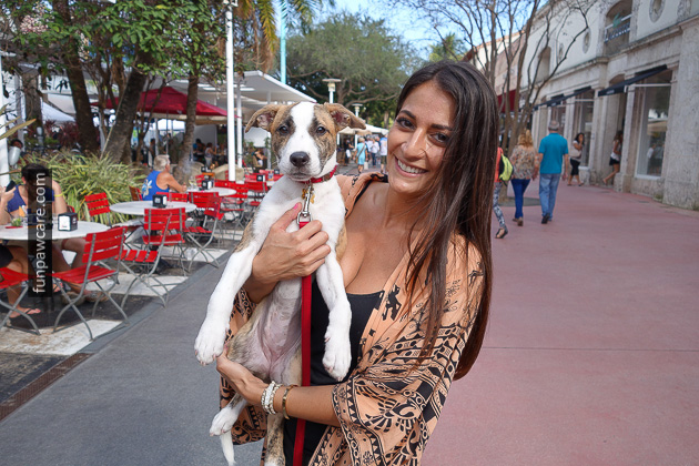 Dog Trainers in Miami (12)