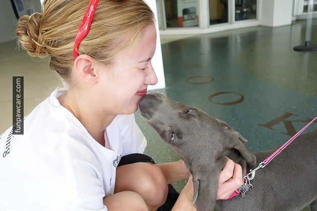 Dog Trainer Miami