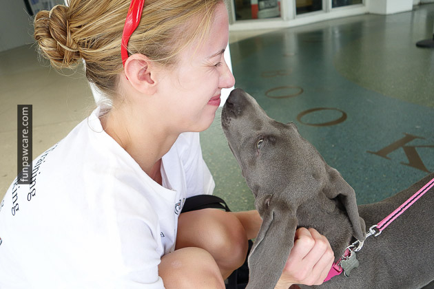 Kisses For Dog Trainers In Miami Photo Kisses For Dog Trainers In Miami Photo - Fun Paw Care