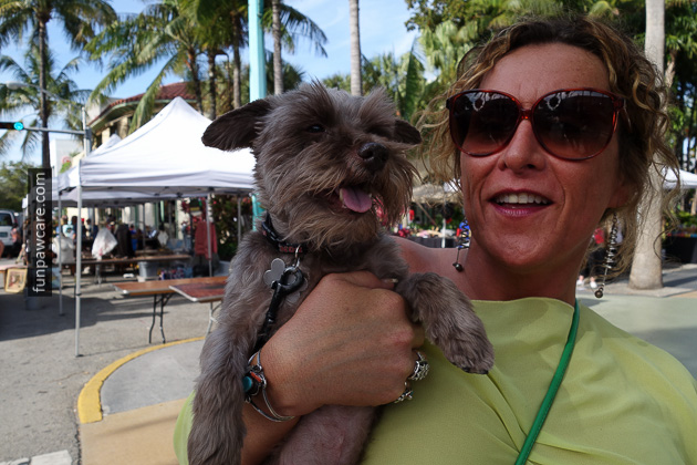 Dog Training Classes Miami (47)