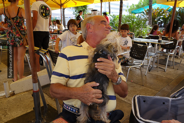 Dog Training Classes Miami (20)