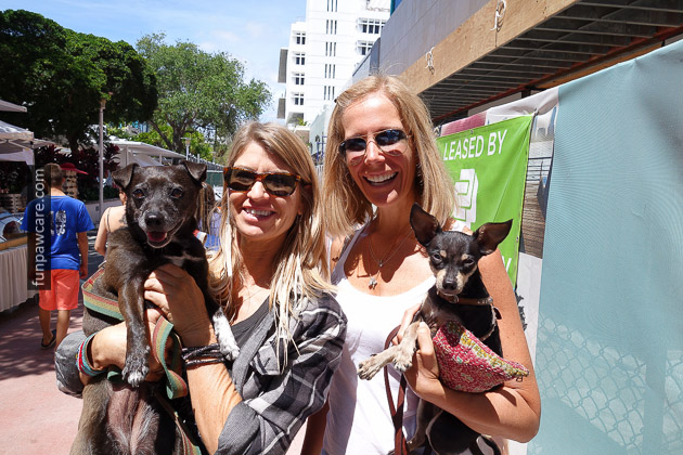 Miami Dog Training (63)