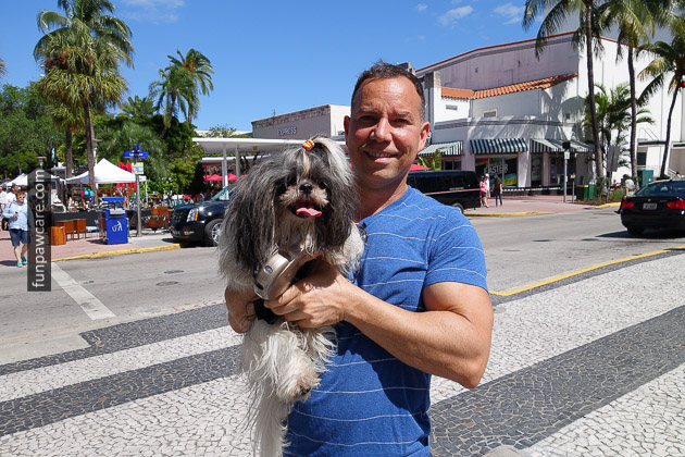 Miami Dog Training (21)