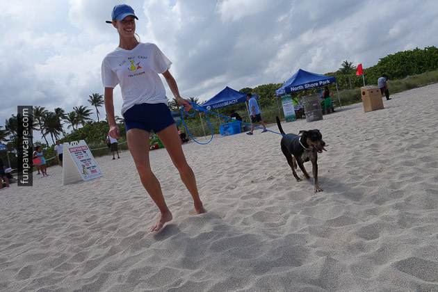 Dog Beach Miami, Dog Trainer Miami (62)