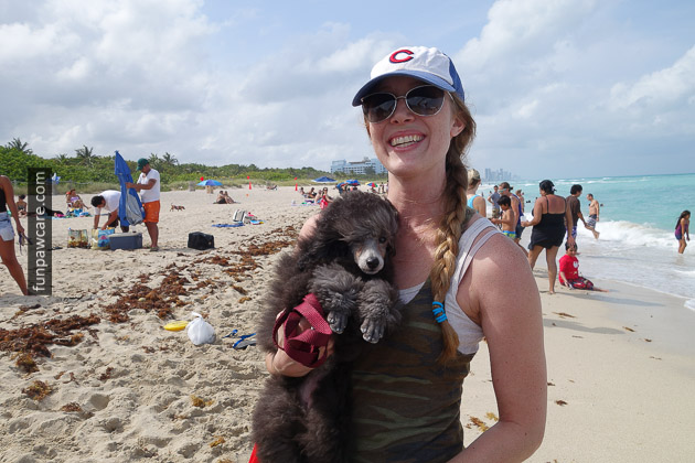Dog Beach Miami, Dog Trainer Miami (60)