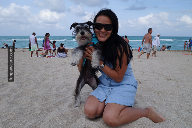 Dog Beach Miami, Dog Trainer Miami (34)