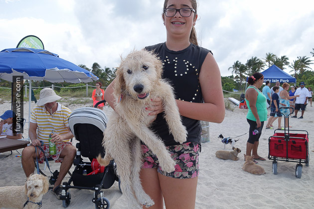 Girl Holding Sea-soaked Puppy, Training, Miami Photo Girl Holding Sea-soaked Puppy, Training, Miami Photo - Fun Paw Care