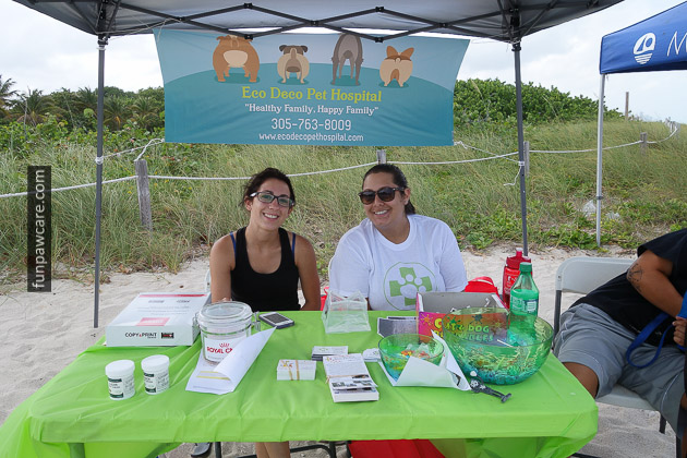 Dog Trainers In Miami, Beach Training Photo Dog Trainers In Miami, Beach Training Photo - Fun Paw Care