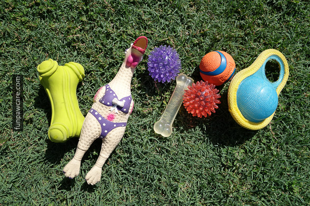 dog Training Miami Toys Squeaky dog toys