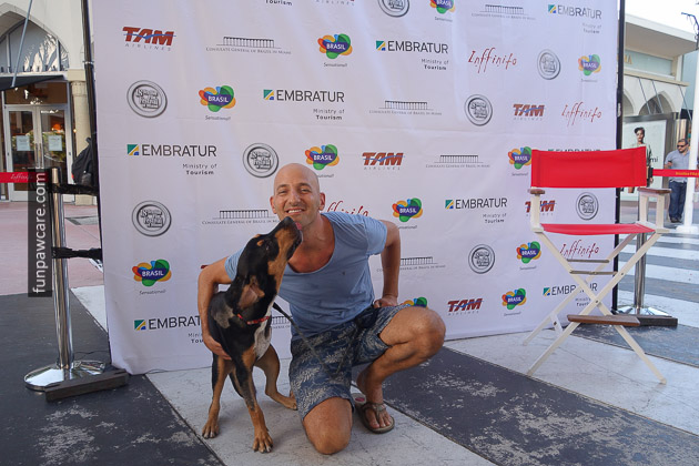 Dog Training Miami, Foster dog, Adopt, Rescue (14) 3 legged dog famous