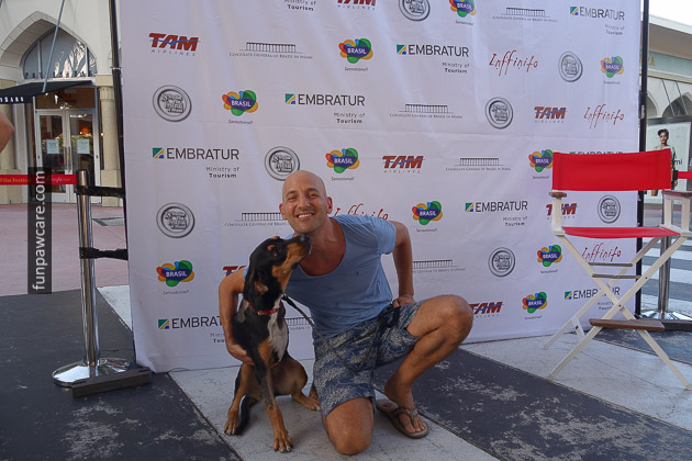 Dog Training Miami, Foster dog, Adopt, Rescue (12) dog posing for movie