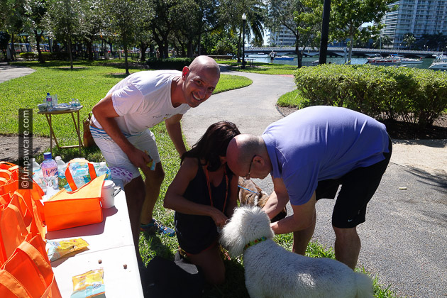 Edward Tobin and Dessiree Kane help hydrate their dog and some homeless dogs
