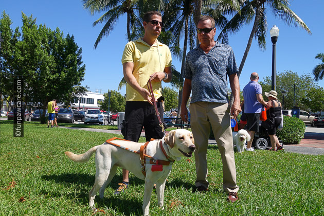 Guide dog service dog and 2 men