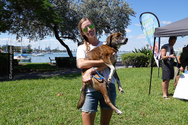 Pretty model holding foster homeless dog