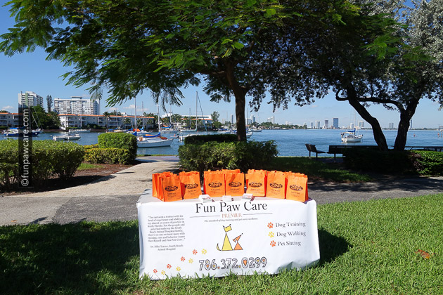 Fun Paw Care booth set up on miami water bay