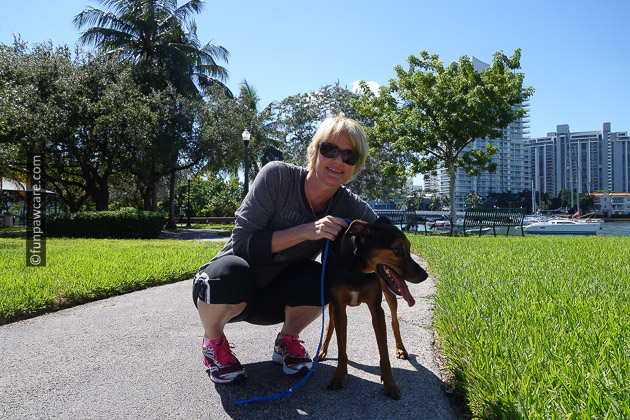 Blond woman with foster dog by water in miami