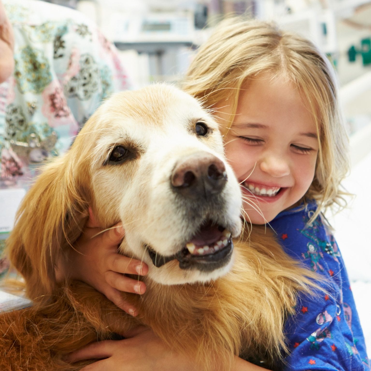 Best Dog Training, Dog Behaviorist Los Angeles Dog Boarding Los