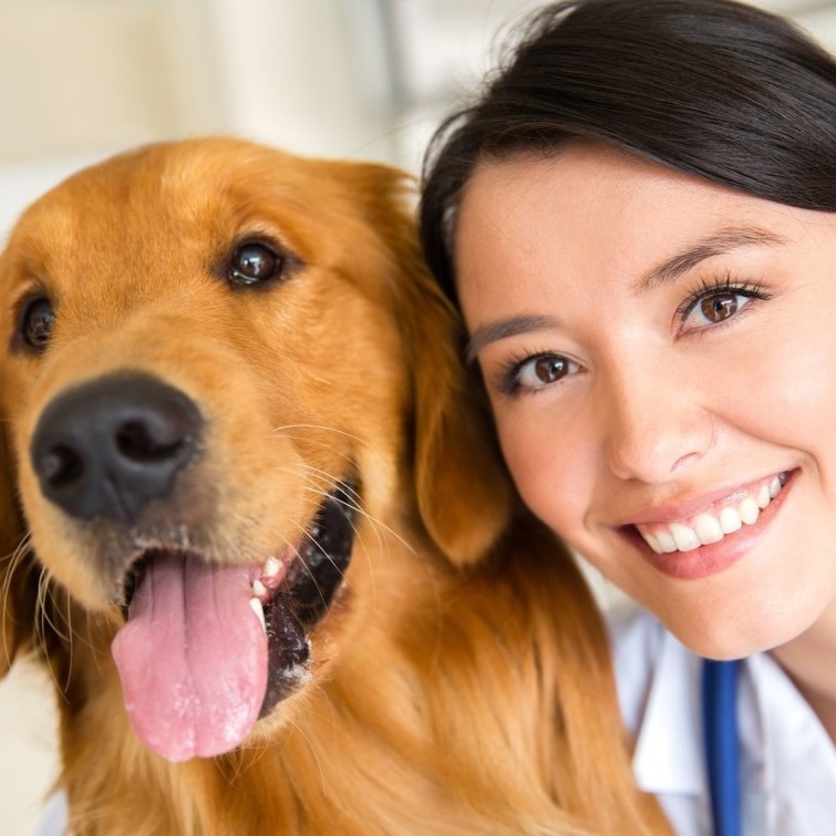 Best Dog Training, Dog Behaviorist Los Angeles Dog Boarding Los