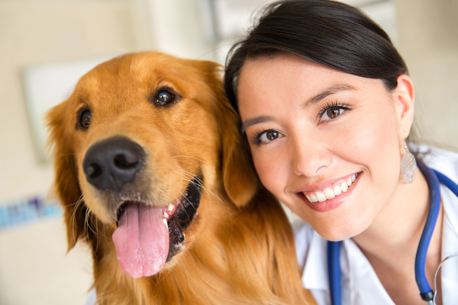 Best Veterinarians In Los Angeles