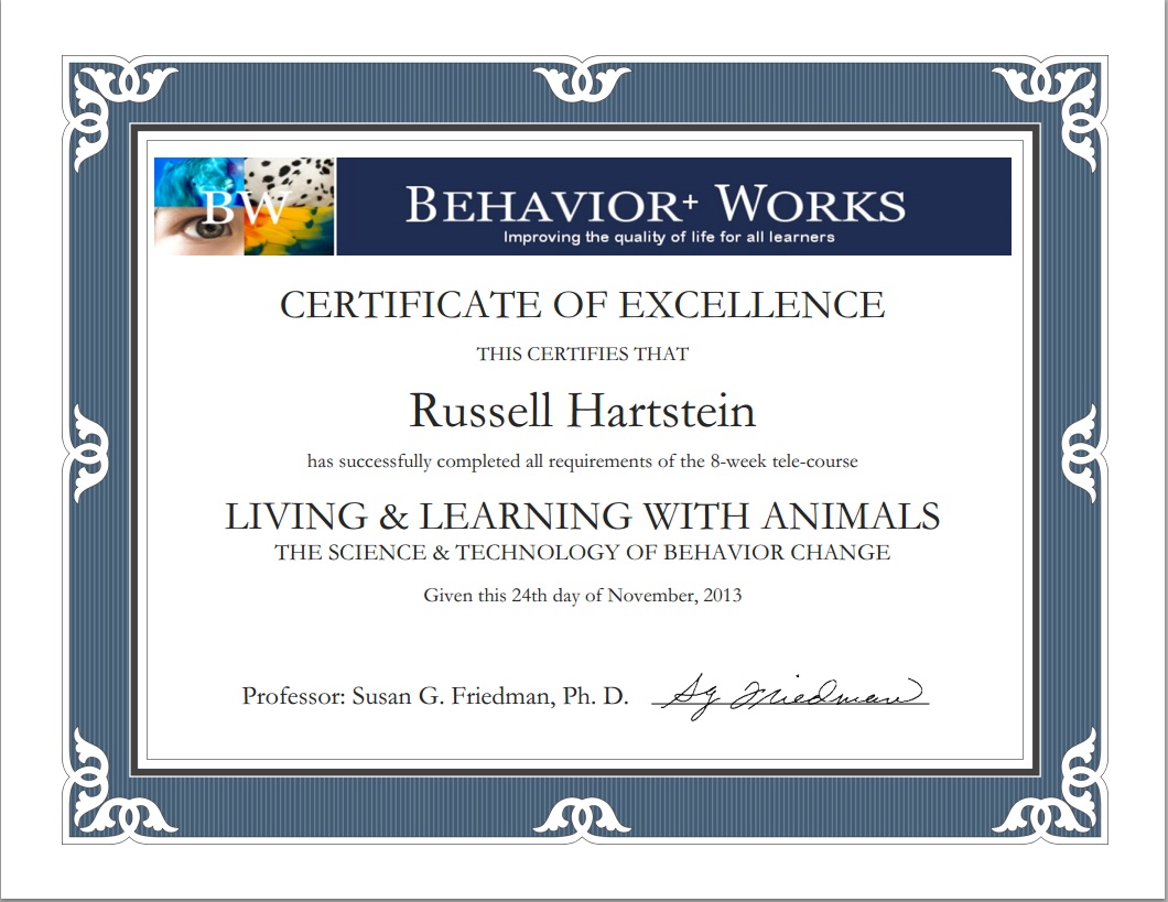Dr Susan Friedman Certificate of Excellence