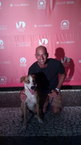 Dog film festival