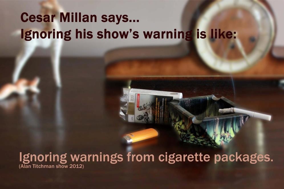 Cesar Millan & Traditional Dog Training Warning!