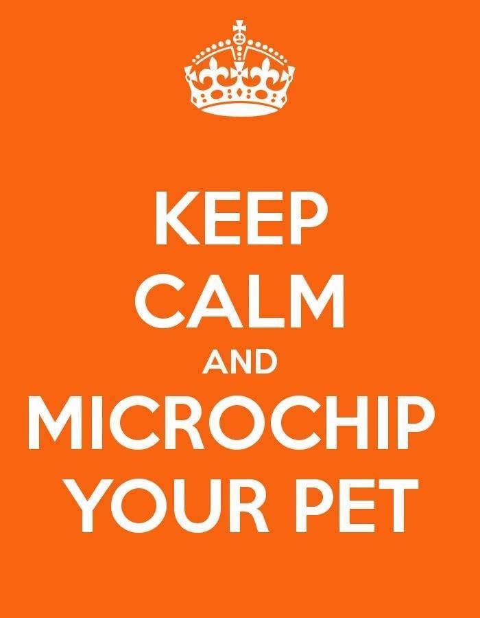 Microchip your pet