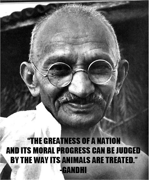 Gandhi Quote