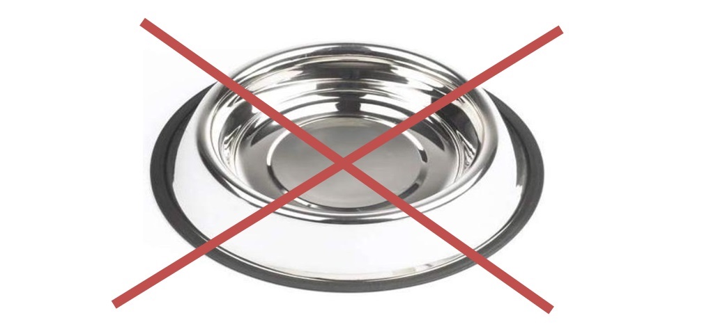 No Dog Bowl