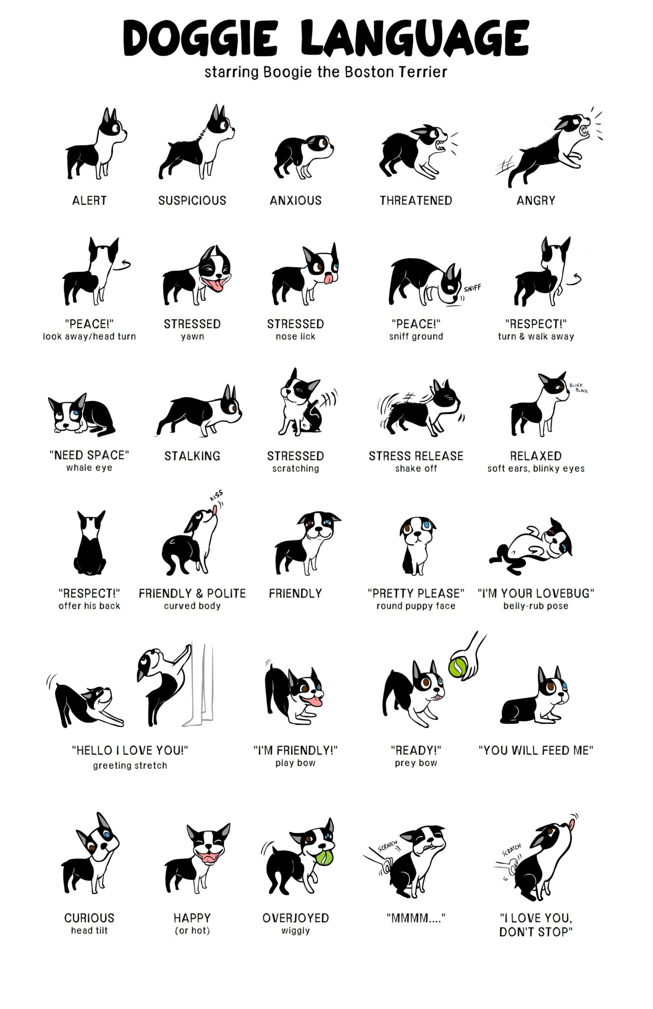 DogBodyLanguagePoster