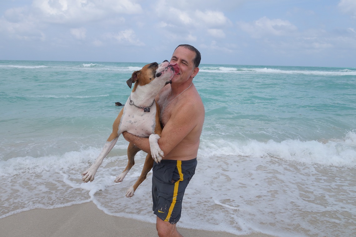 Dog on a beach with parent