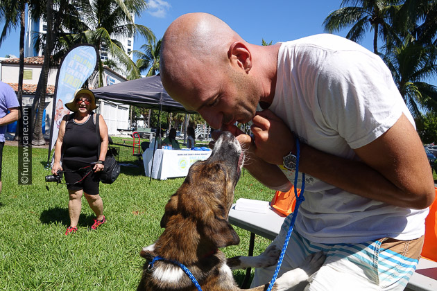 Russell Hartstein kissing homeless dog