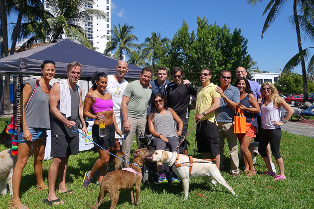 Service Dogs and homeless dogs