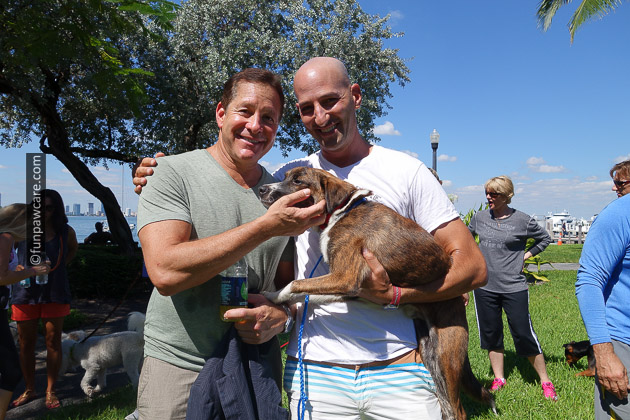 Russell Hartstein and Steve Guttenberg with miami foster dog 