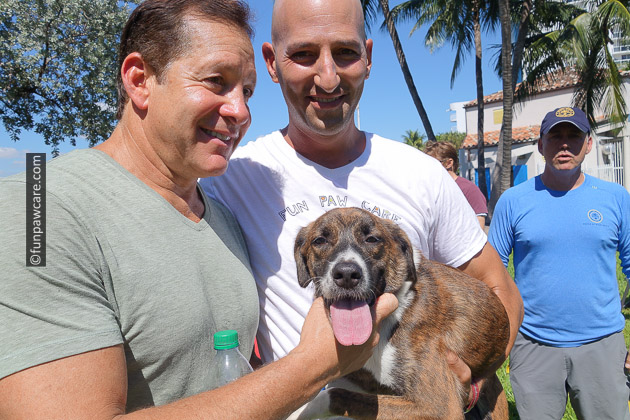Russell Hartstein and Steve Guttenberg and miami homeless dog