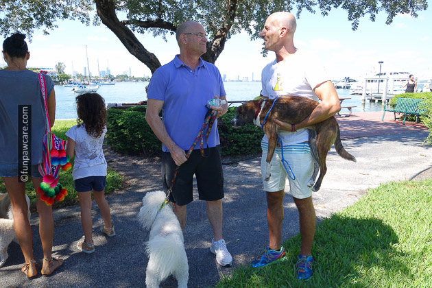 Russell Hartstein and Edward Tobin and homeless dogs