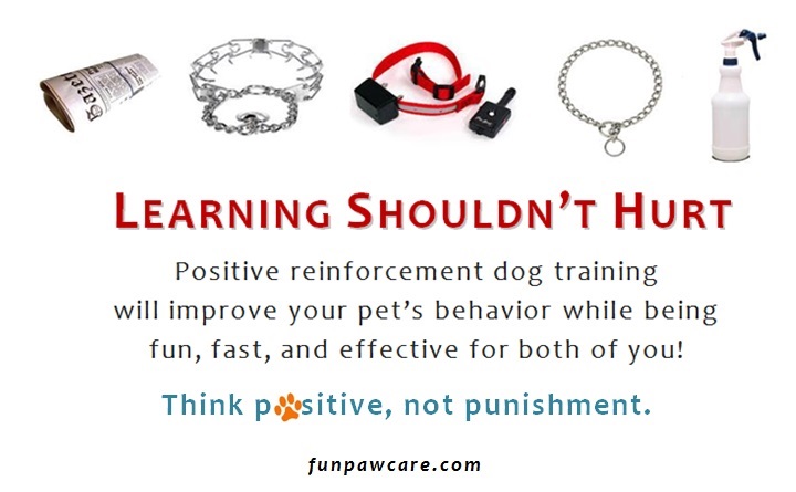 Dog Training Miami - Learning Shouldnt Hurt for Webpage