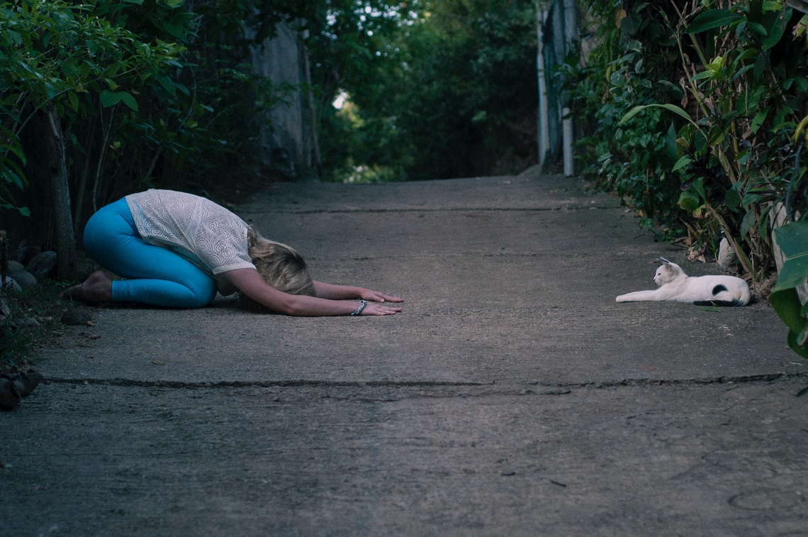 Cat Yoga LA