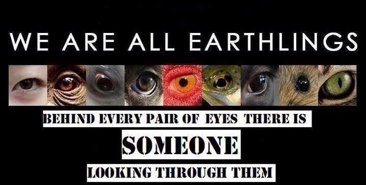 We are all earthlings