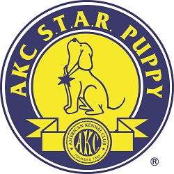 AKC Star Puppy Los Angeles California