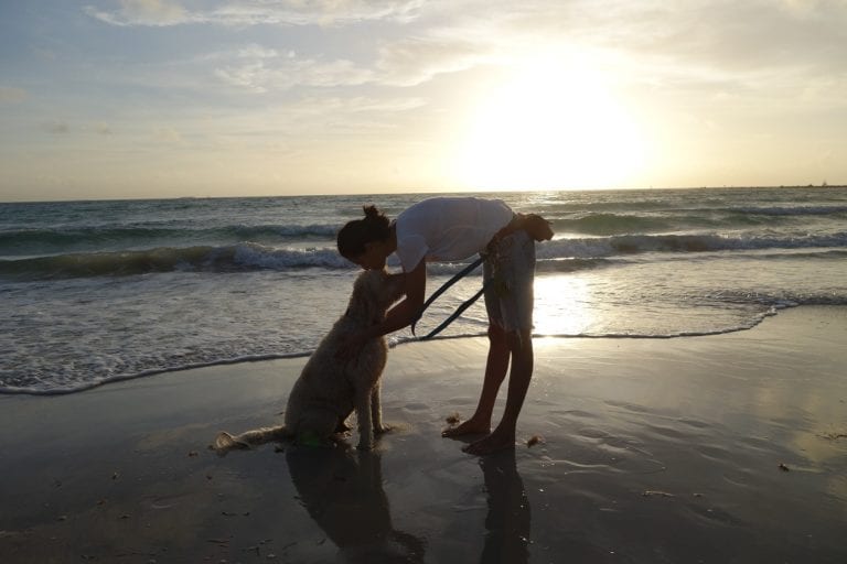 Elite Dog Boarding & Training, Daycare Los Angeles Club Membership