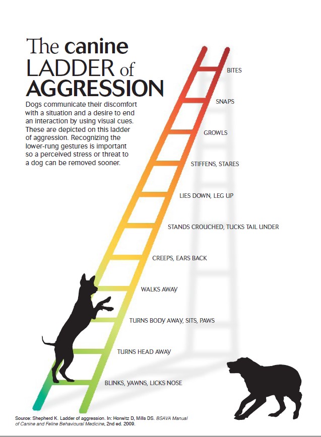 Dog anxiety ladder of aggression